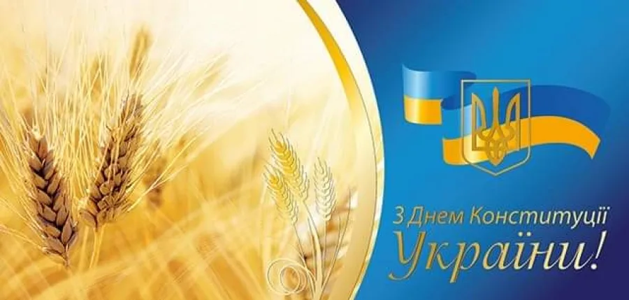 Директор ІЗР НААН Олександр Борзих вітає з днем Конституції України!