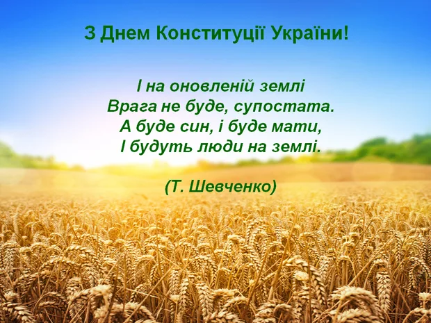 Директор ІЗР НААН Олександр Борзих вітає з днем Конституції України!
