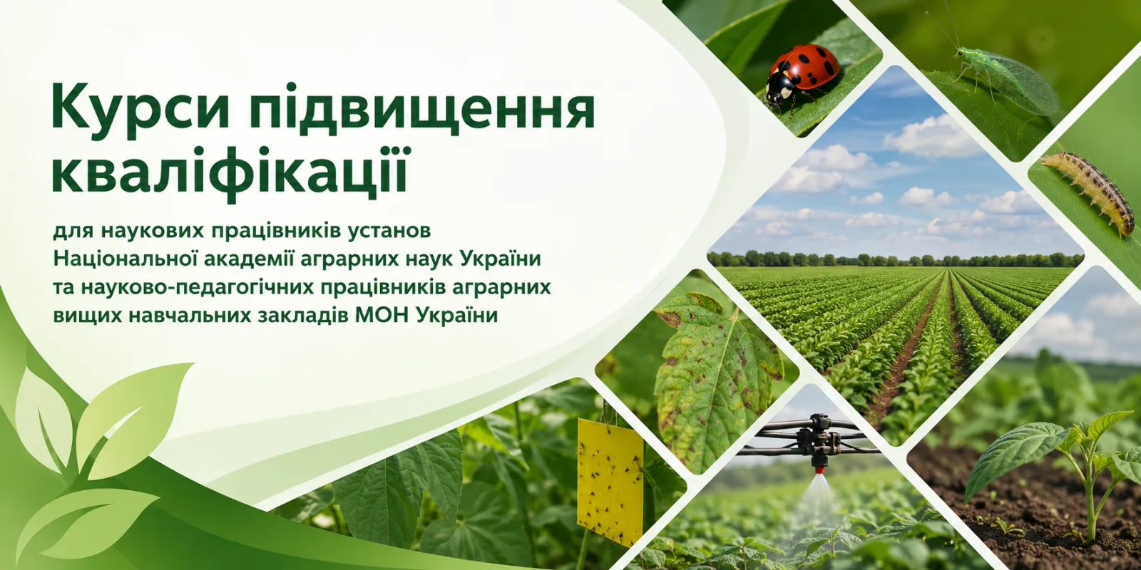 Курси підвищення кваліфікації для наукових працівників установ Національної академії аграрних наук України та науково-педагогічних працівників аграрних вищих навчальних закладів МОН України