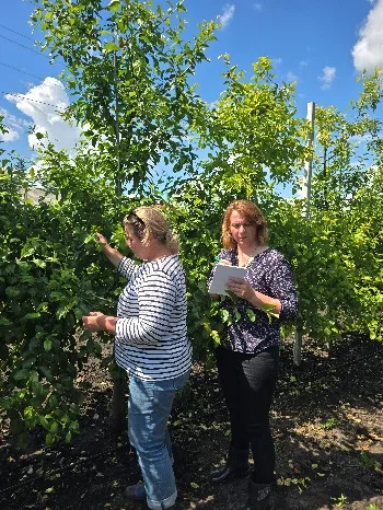 Лабораторія ентомології та стійкості сільськогосподарських культур проти шкідників — фото 1