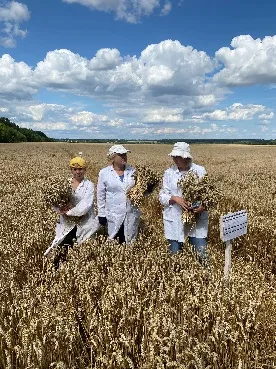 Лабораторія технології застосування пестицидів — фото 3