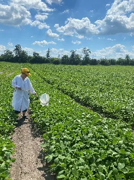 Лабораторія технології застосування пестицидів — фото 5