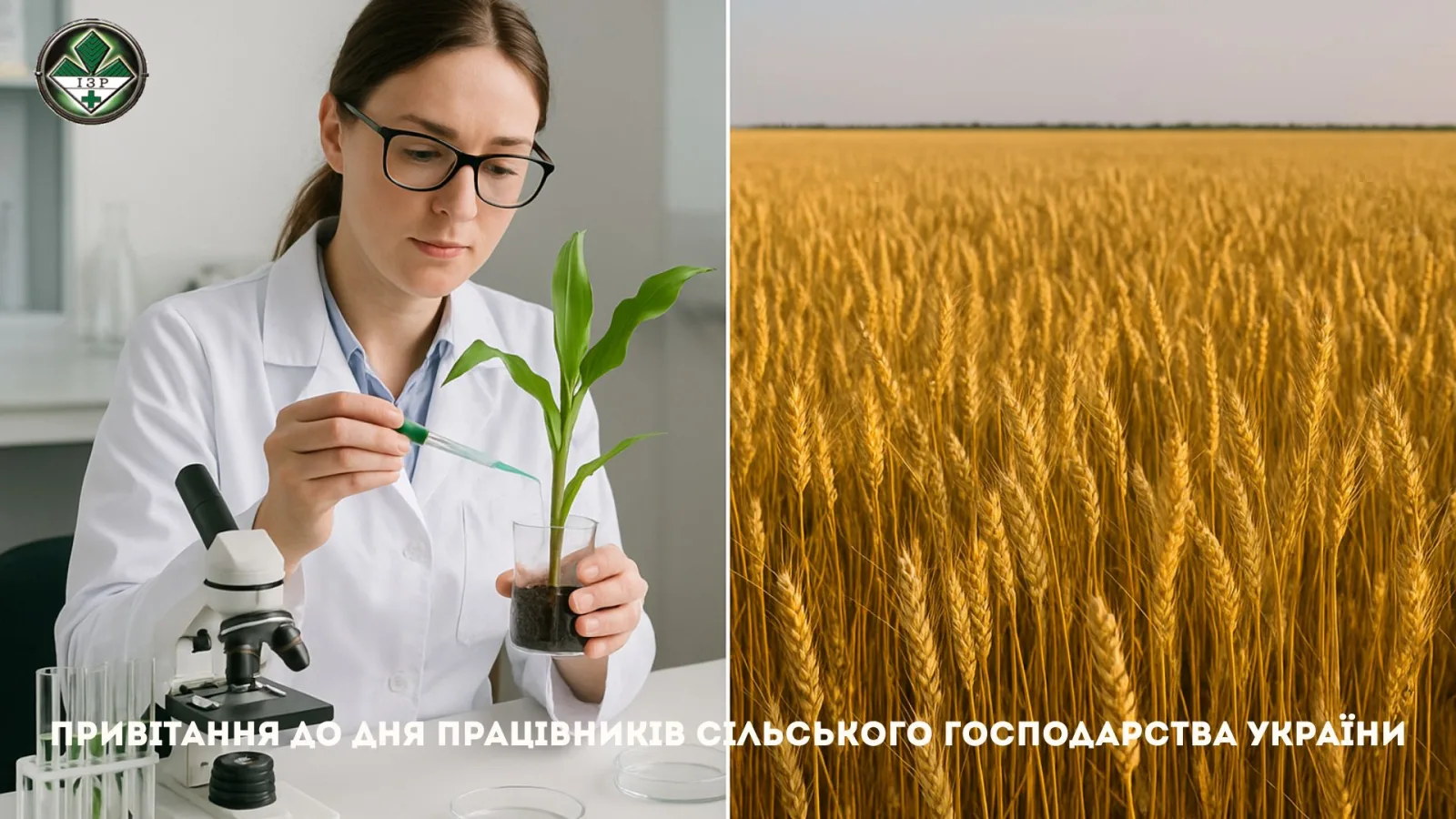 Привітання до Дня працівників сільського господарства України!
