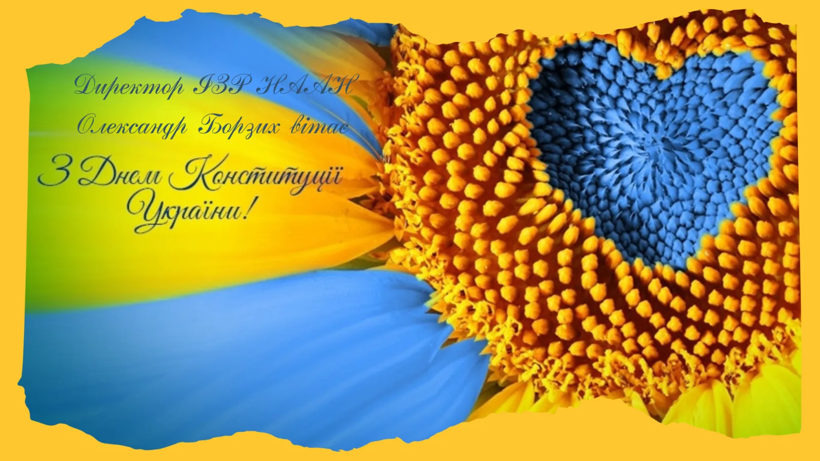 Директор ІЗР НААН Олександр Борзих вітає з Днем Конституції  України!
